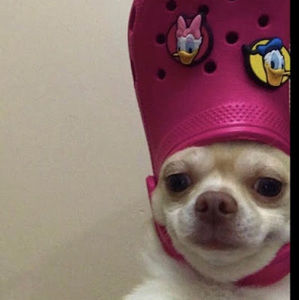 Meet your Posher, Marco